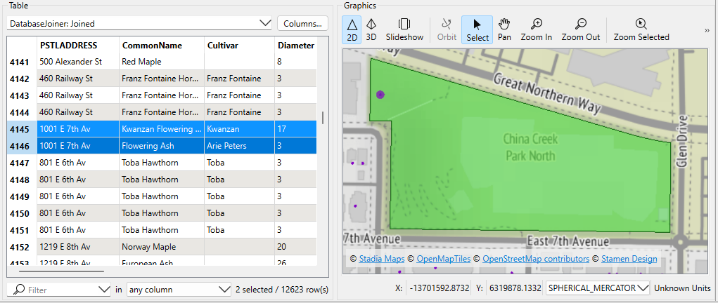 Two trees in one park
